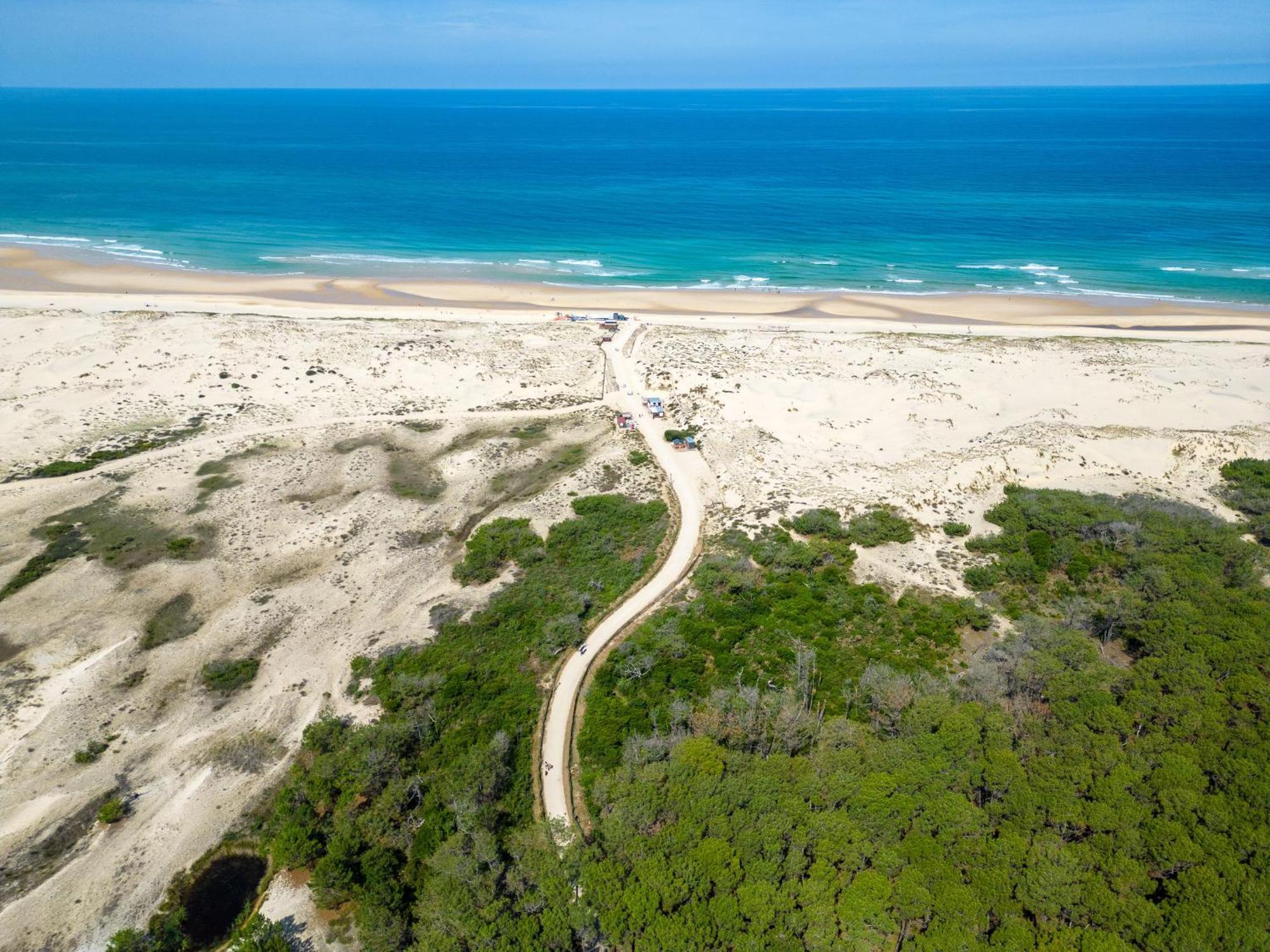 Biscarrosse Plage - Studio T1 Bis En Bord De Mer - Menage Inclus - Fr-1-319-185 المظهر الخارجي الصورة